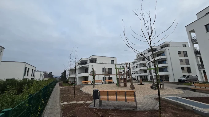 Zdjęcie 24